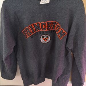 Champion Princeton Gray Sweatshirt